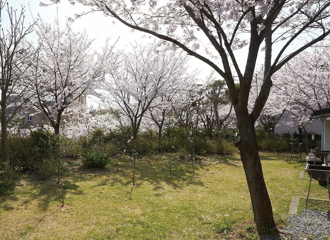 Whity Pension Incheon South Korea